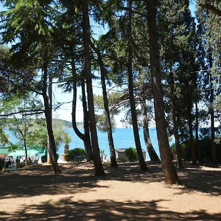 Magenta, Terrace, Free Parking